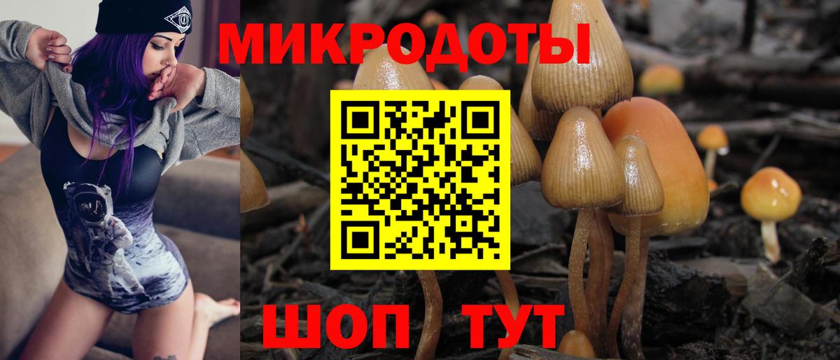 Галлюциногенные грибы мицелий  Вход с VPN  Россошь 