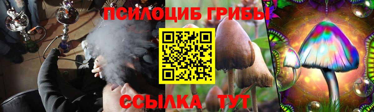 Псилоцибиновые грибы мухоморы Россошь