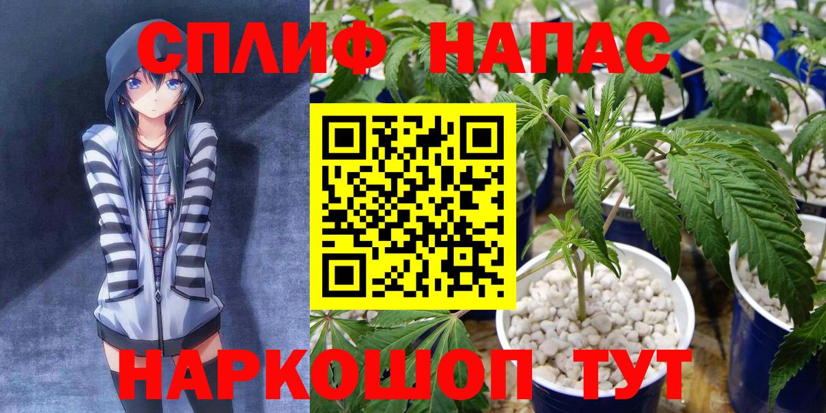 МАРИХУАНА планчик  Канабис план  Канабис гибрид  Россошь  Вход с VPN 